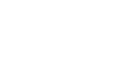 Duratex